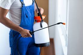 Best Fumigation Services  in Middle Island, NY